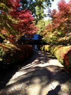 The path to Hamada's house